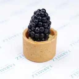 Blackberry Tart